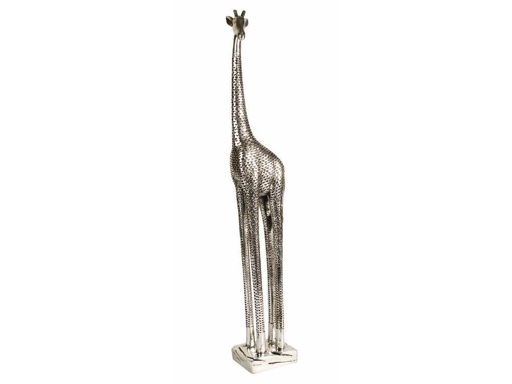 A tall giraffe