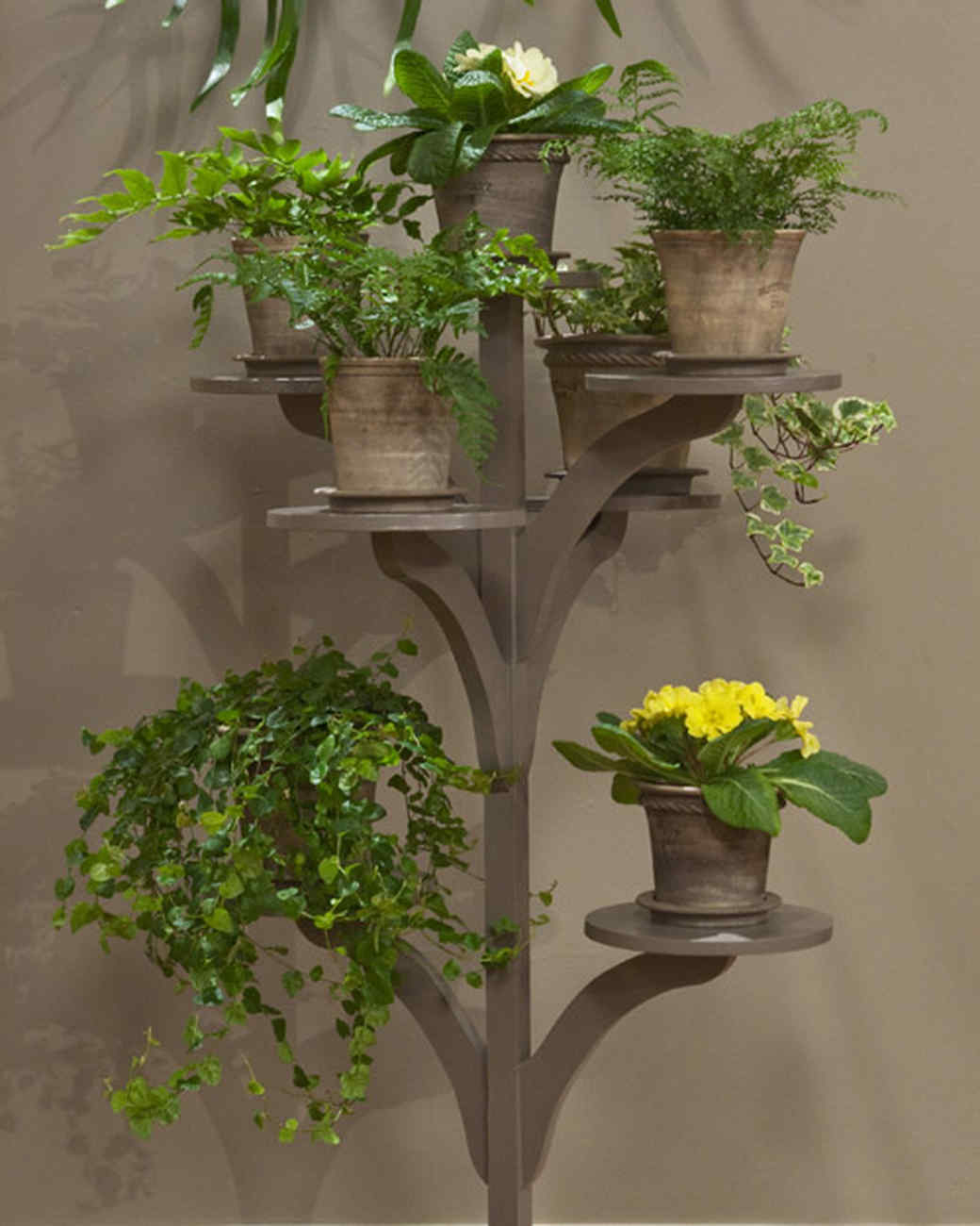 Corner plants