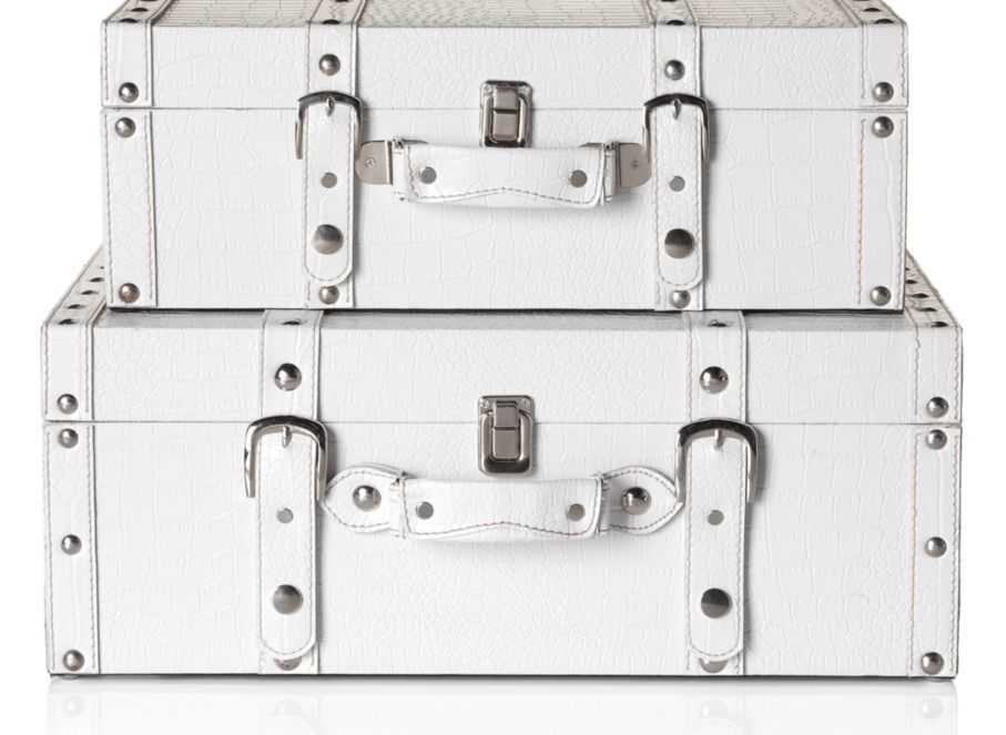 Modern storage trunk