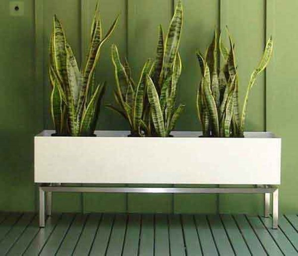 Indoor planter boxes 2