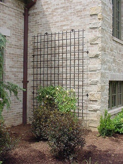 Large iron garden trellis pictures