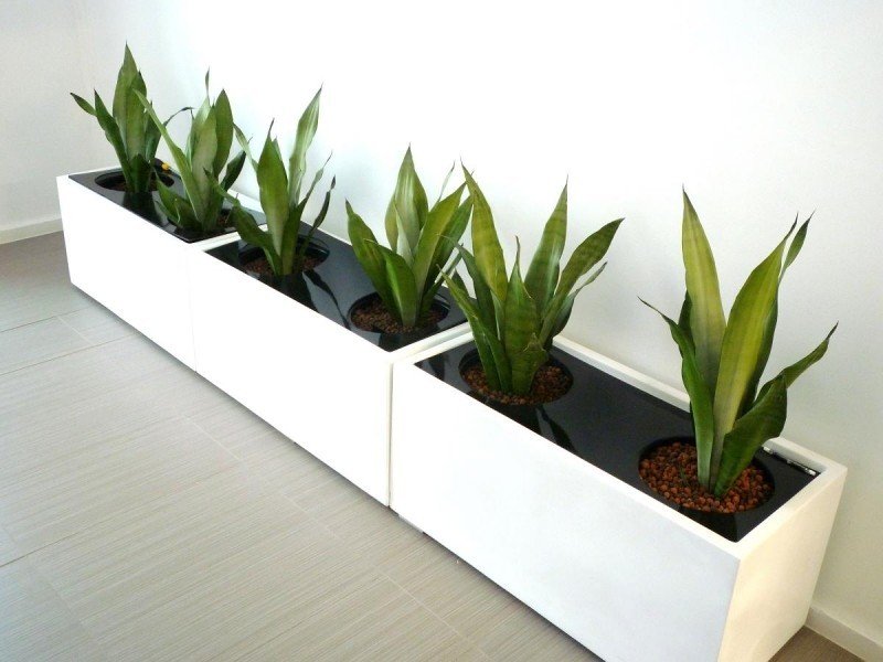 Premium fiberglass planter box white