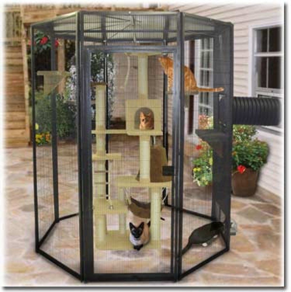 Outdoor Cat Enclosures For Sale