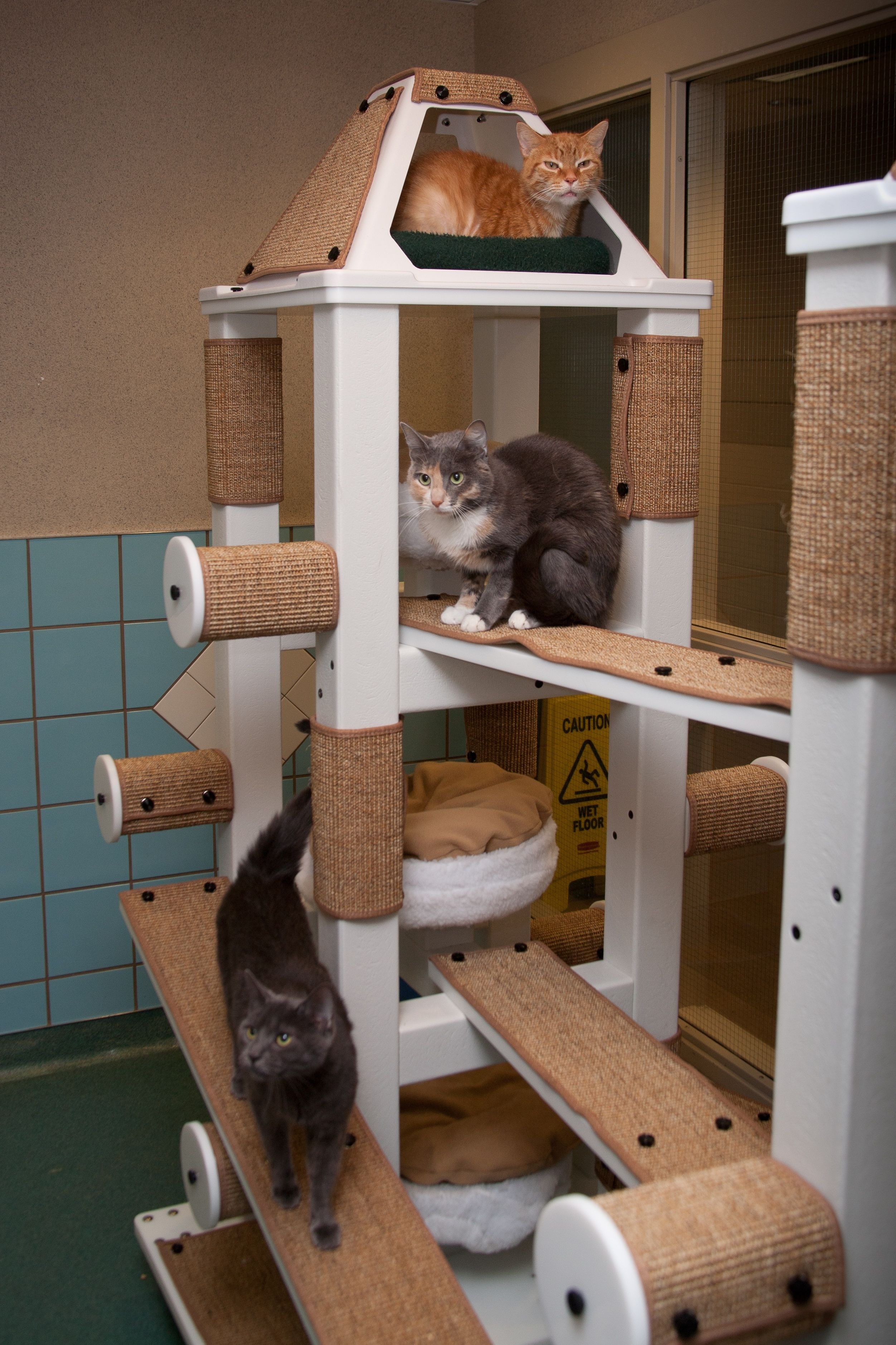 Sisal cat tree