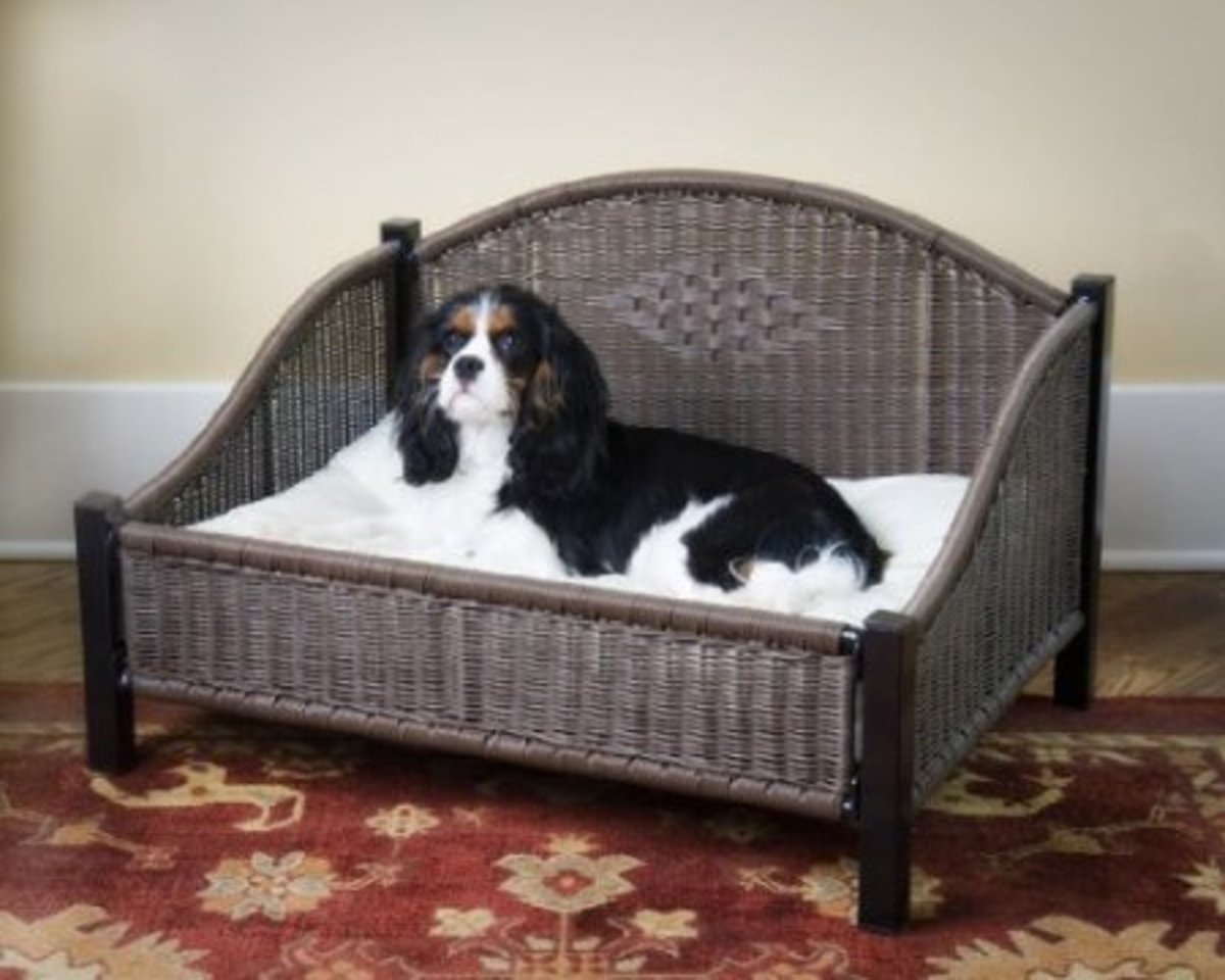 Mr herzhers decorative pet bed in dark brown learn more