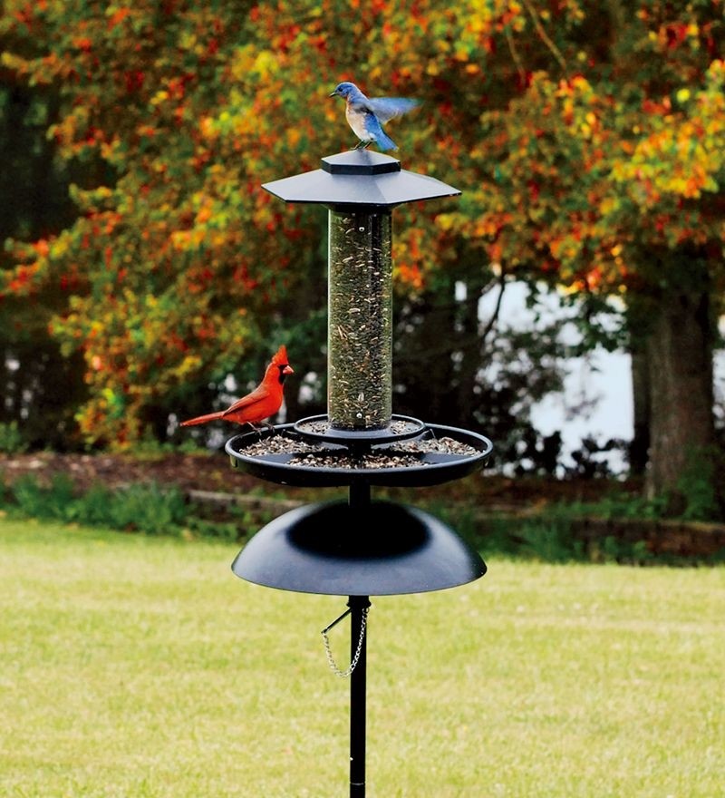 Bird feeders from plow hearth