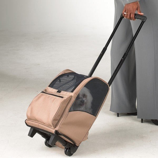 Cat carriers wheels