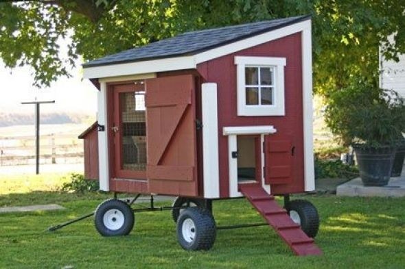 Portable chicken houses for sale