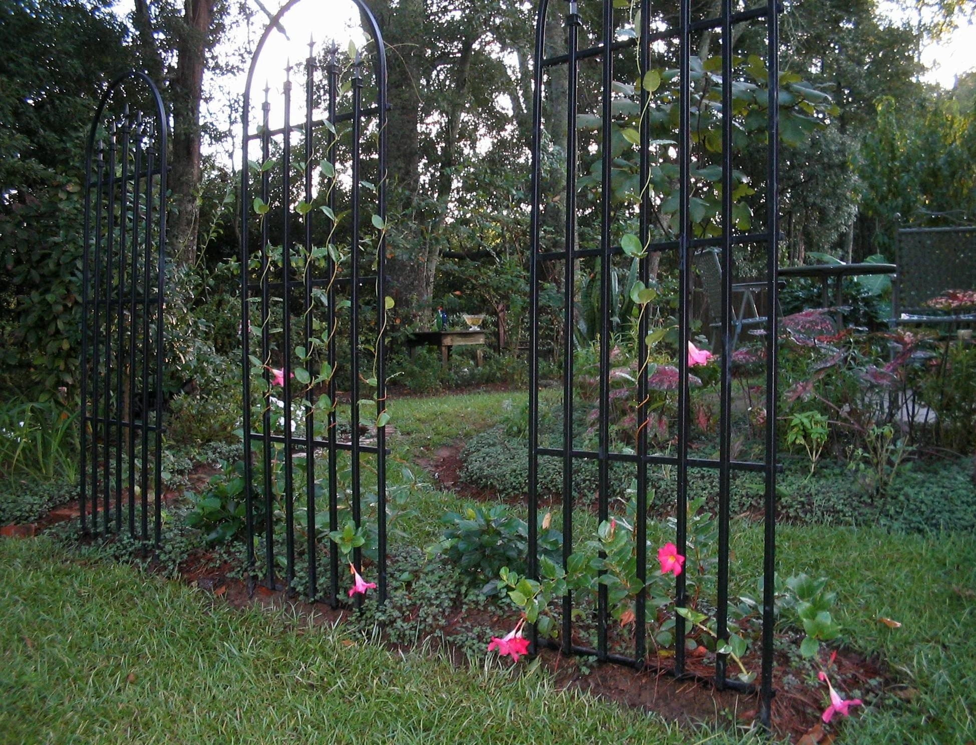 Gardens 19