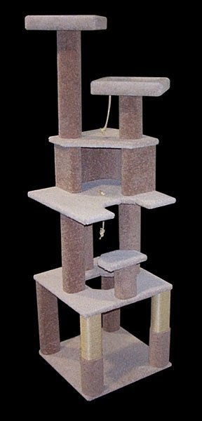 Wooden cat beds
