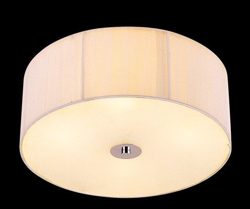 Ceiling clip shade 1