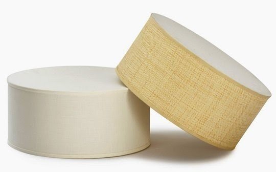 Clip on ceiling shades that cold fact might change jump