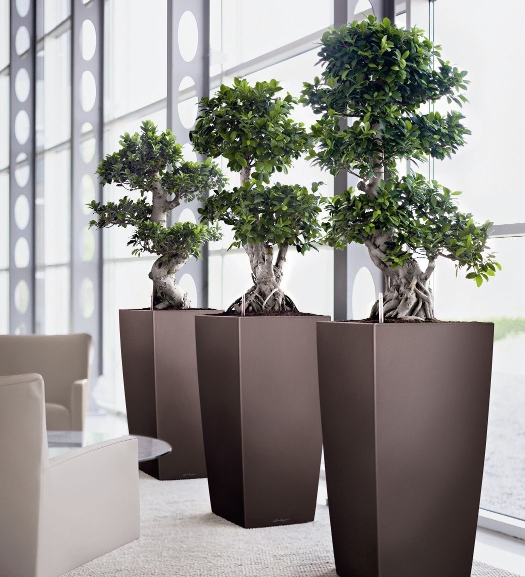 Inside planters