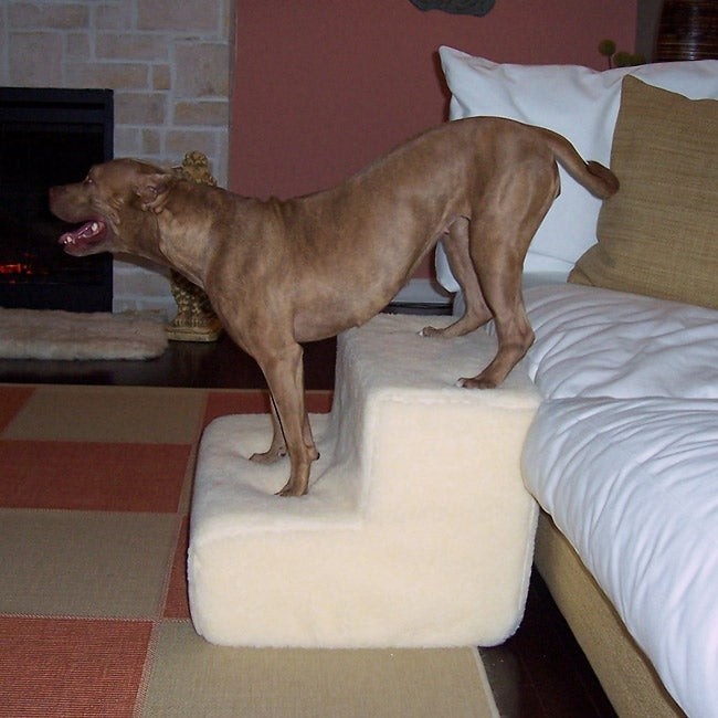 Petstairz big dog 2 step pet stairs today 89 99