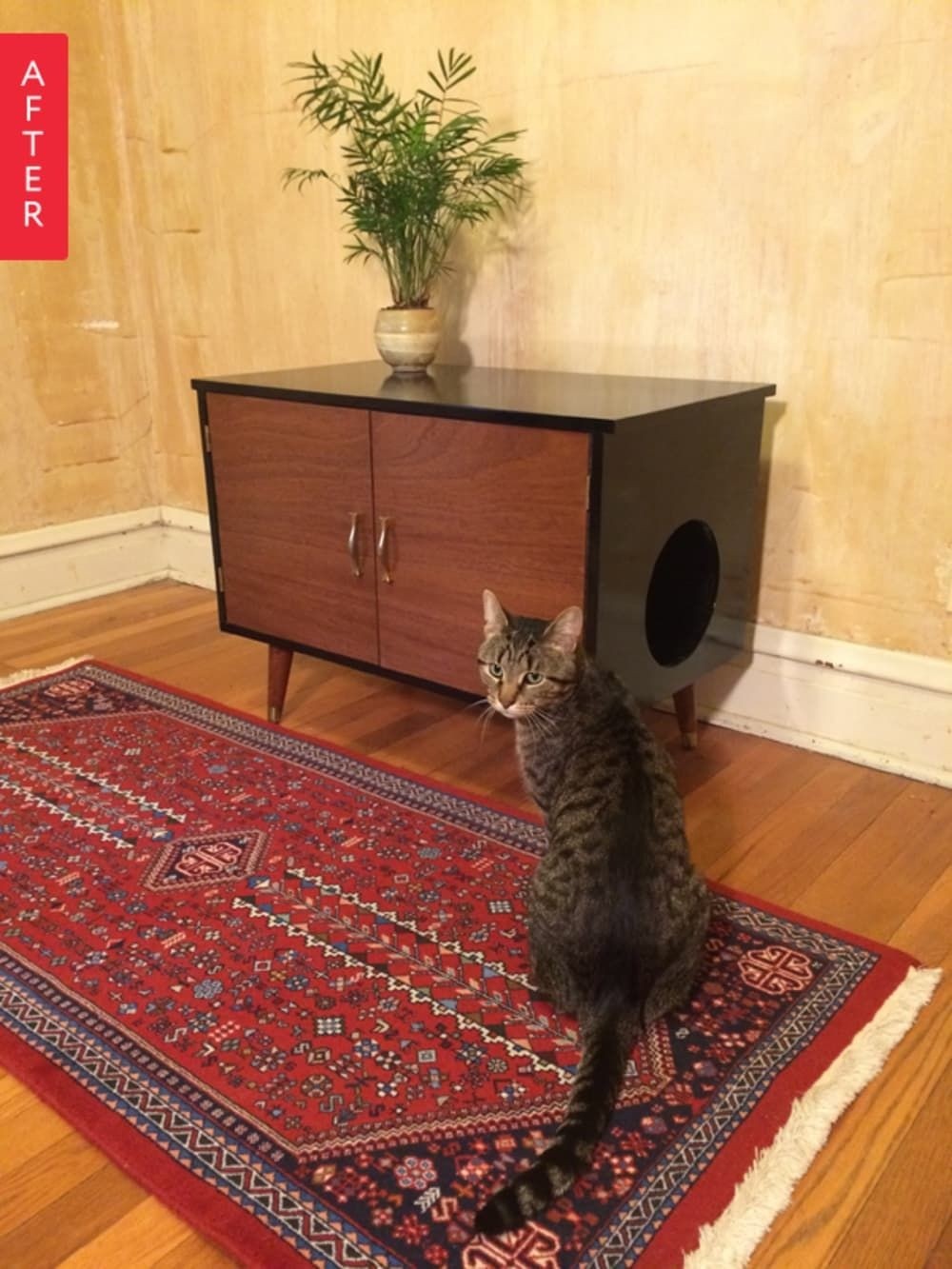 Kitty litter box furniture 5