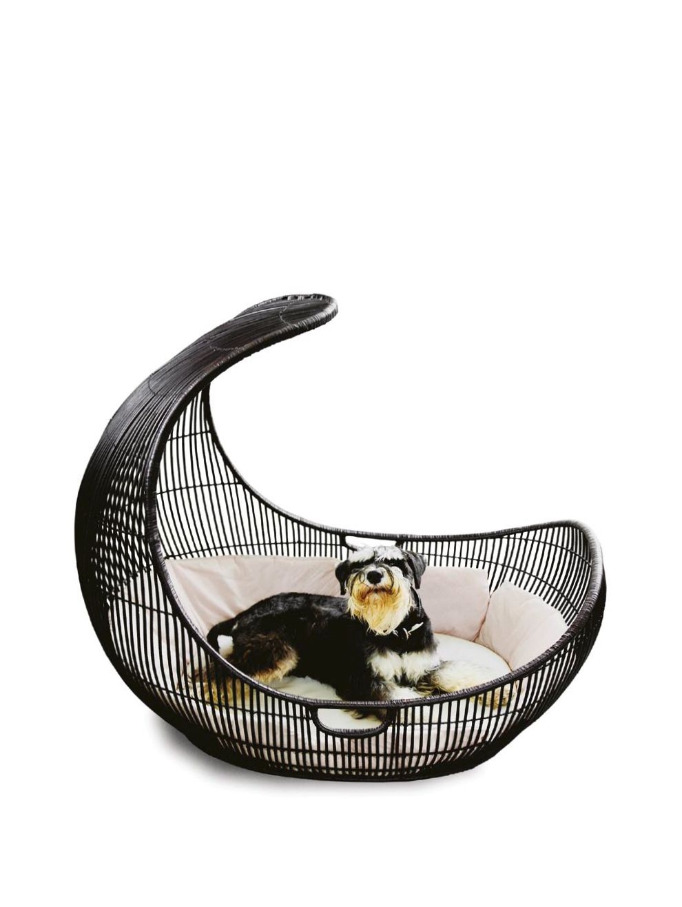 Pet dog beds ideas