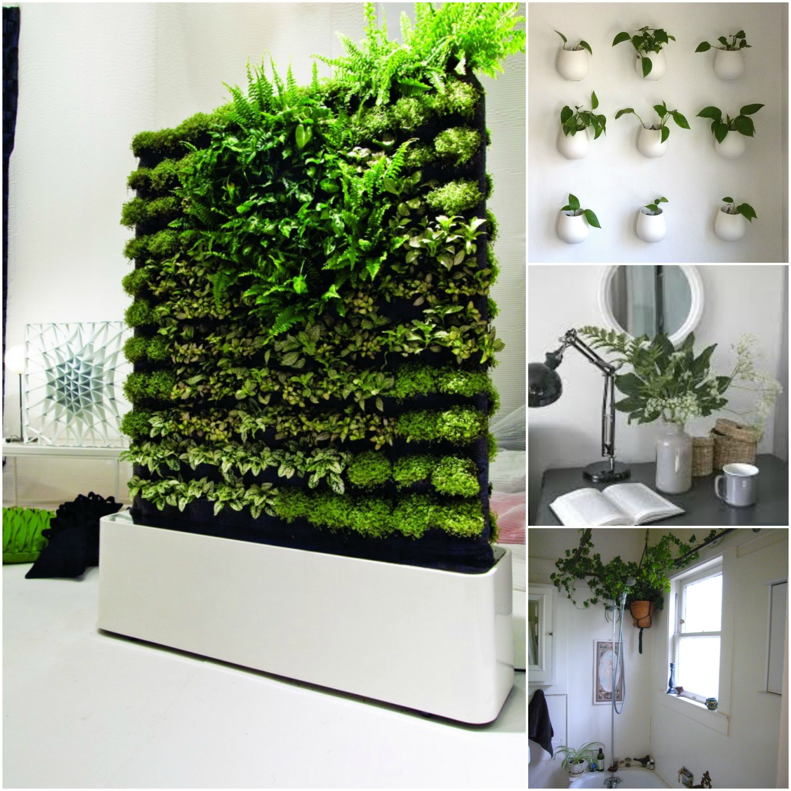 Window sill planter indoor