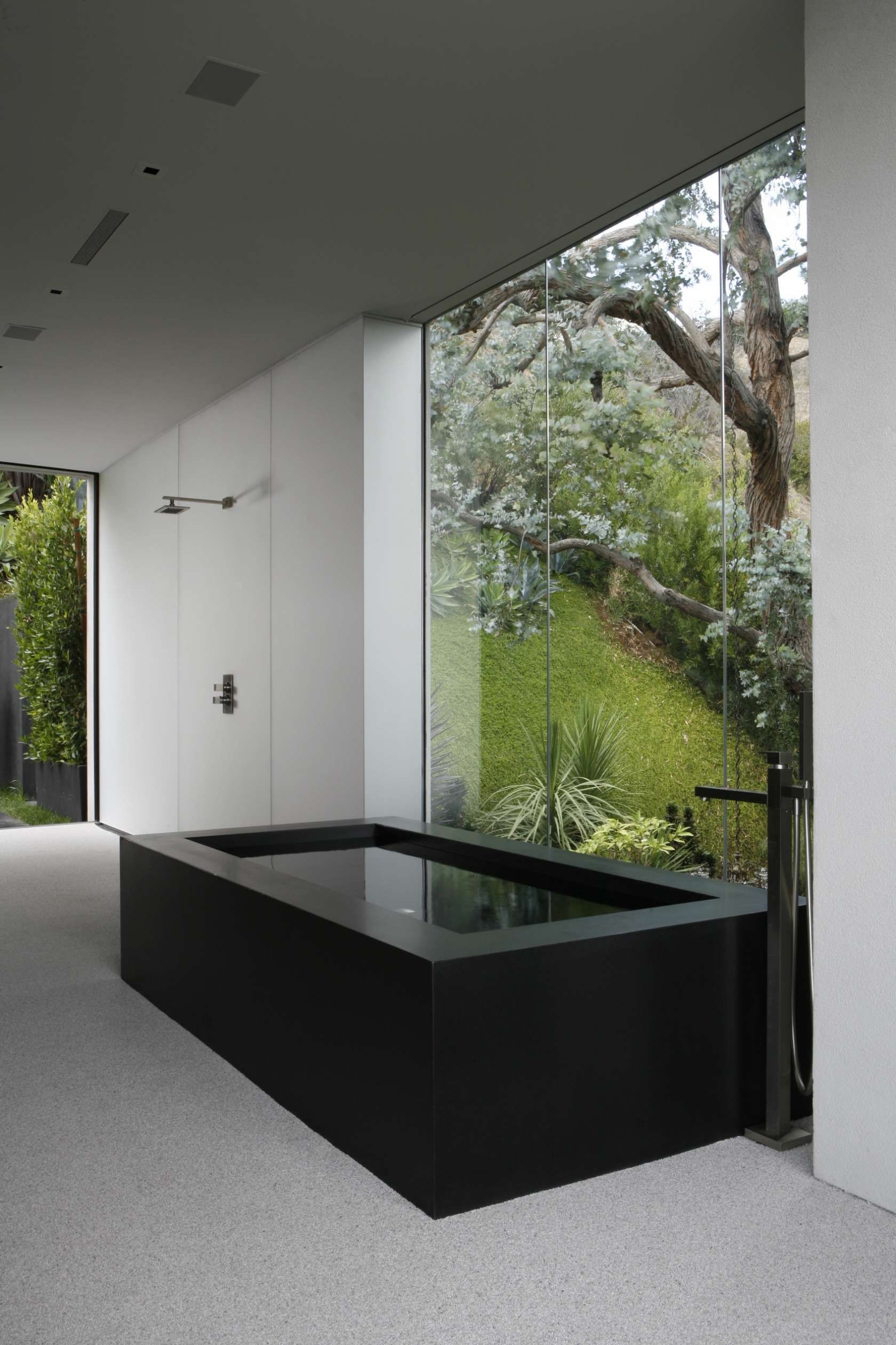 Black bathtub 1