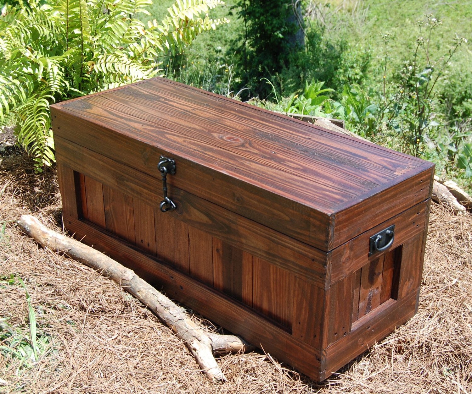 Large Red Mahogany Hope Chestcoffee