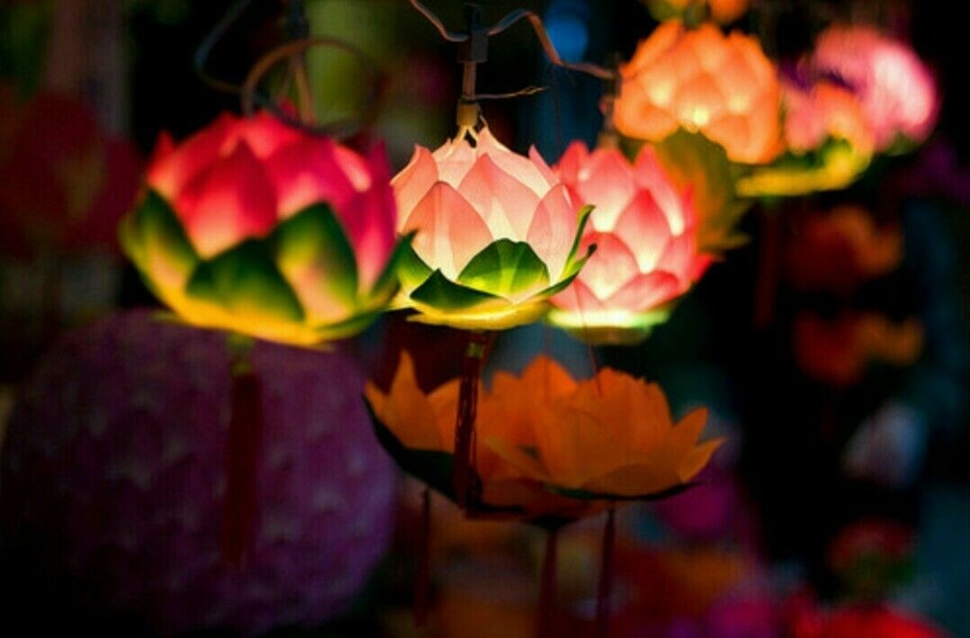 Lotus flower light fixture