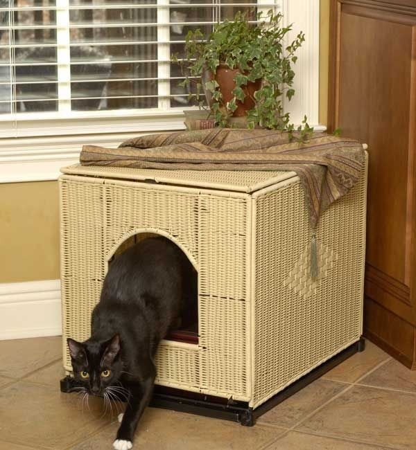 Litter box house