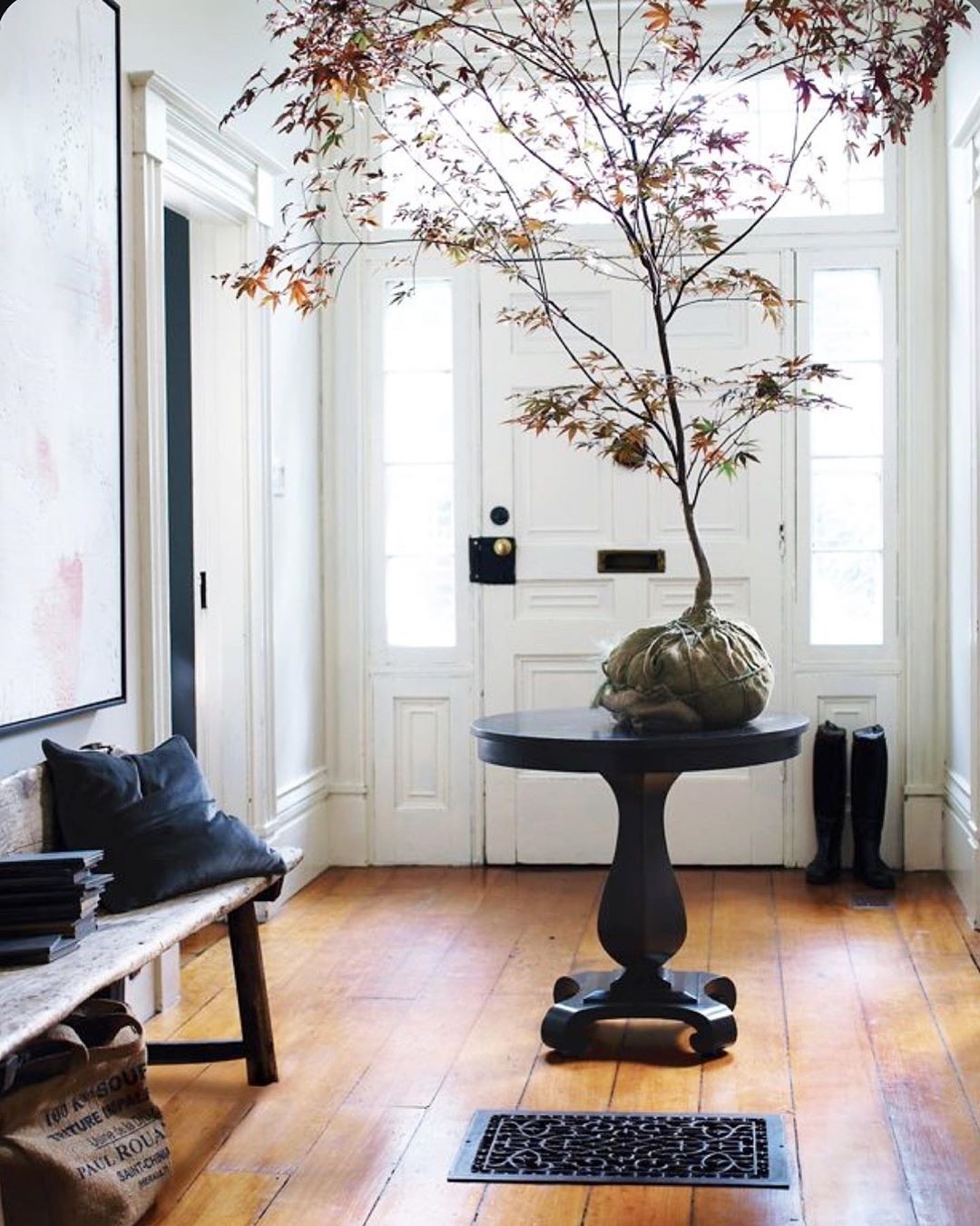 Large indoor plant pots 12
