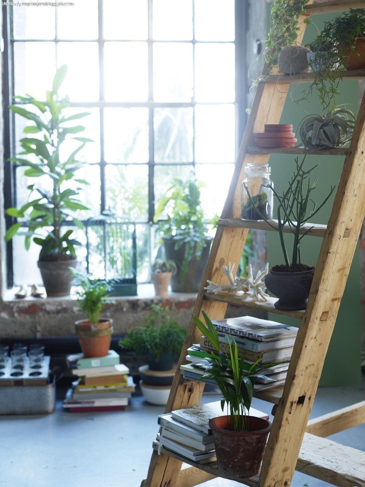 Indoor wooden plant stands 9