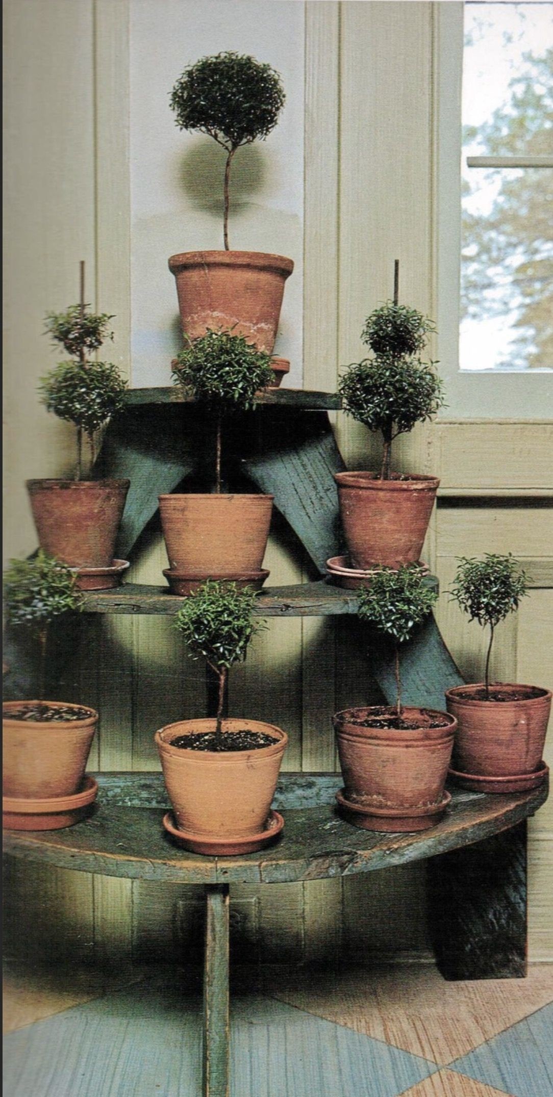 Pallet plant holder i found a pallet half as wide