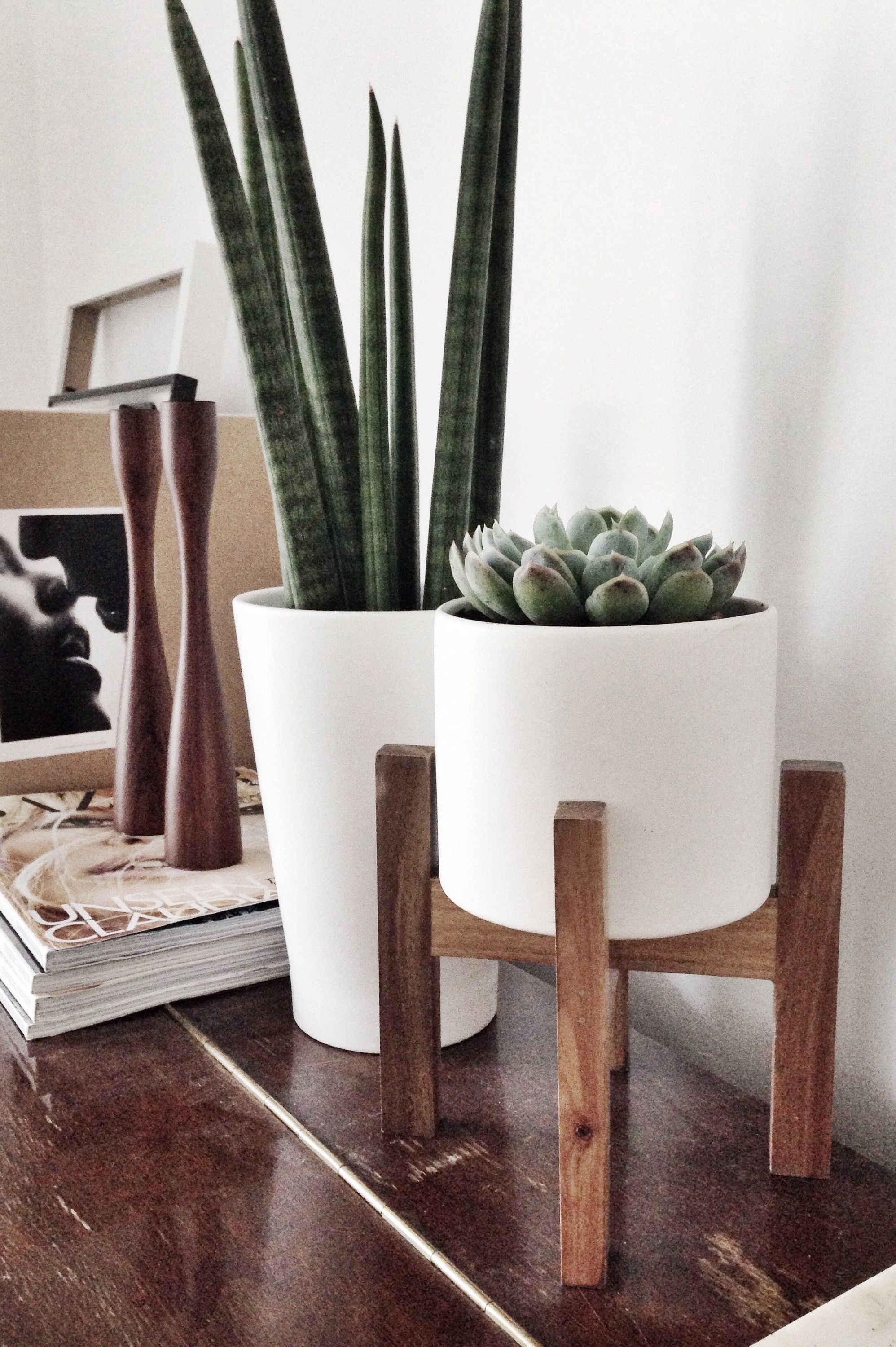 Wooden plant ladder