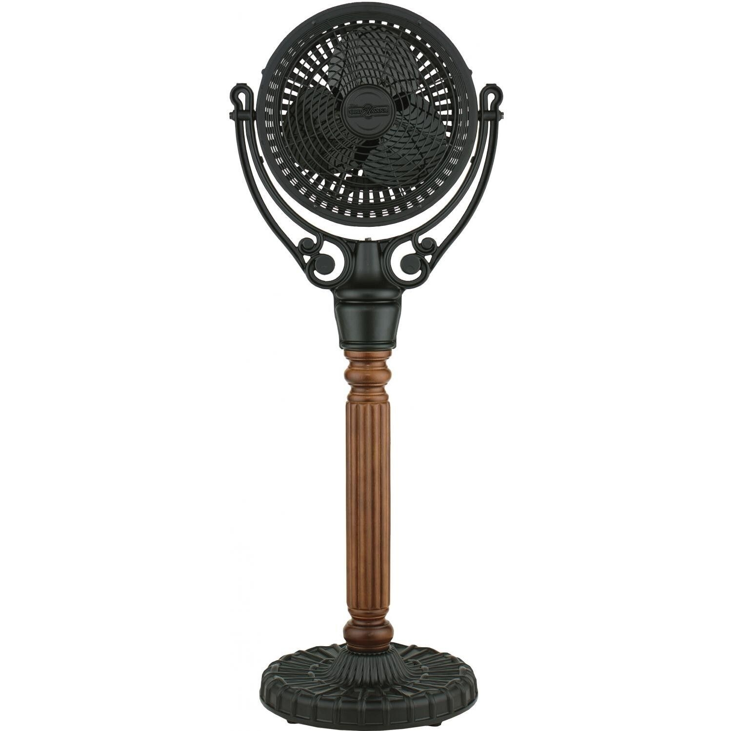 Decorative pedestal fans 5