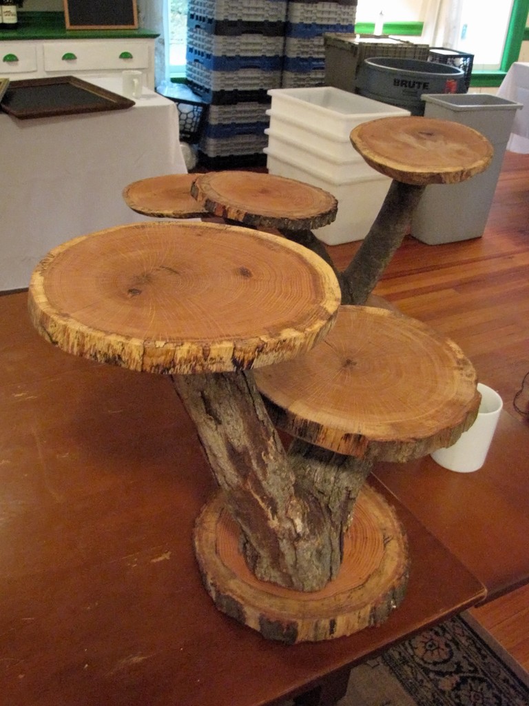 Wood plant