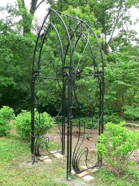 Grapevine arch