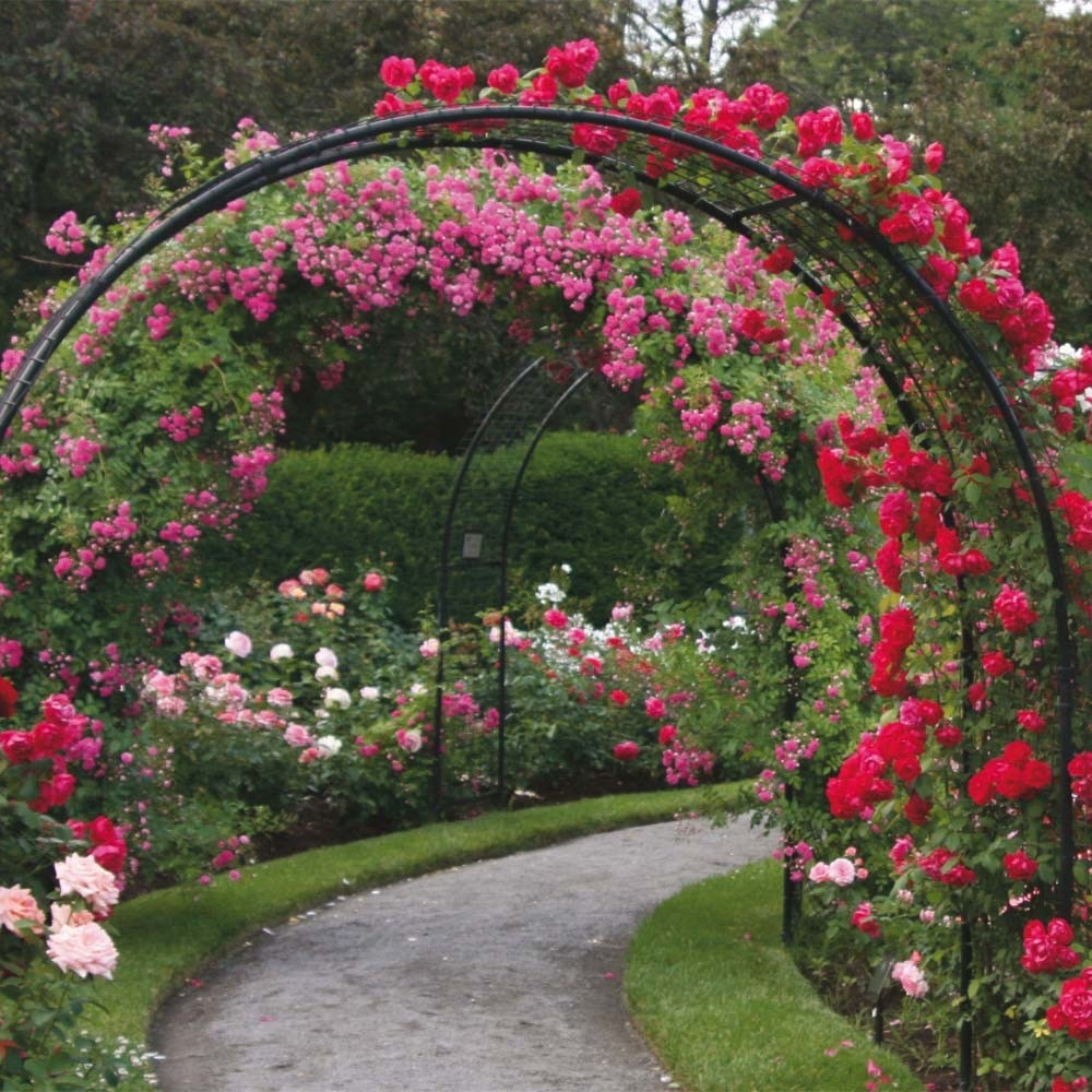 Metal garden arch trellis 2
