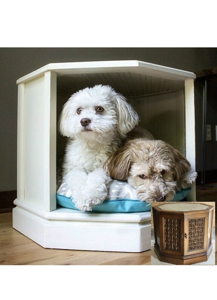 Pet end table 8