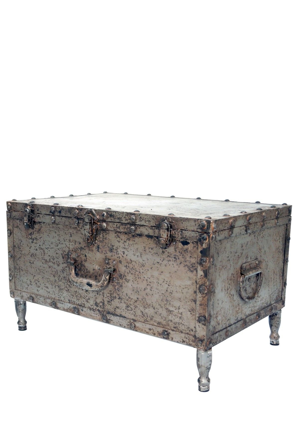 Modern storage trunk 2