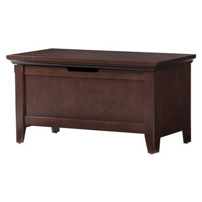 Modern storage trunk