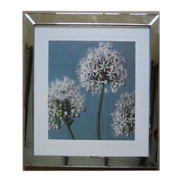 Photo frame with beveled mirror edge