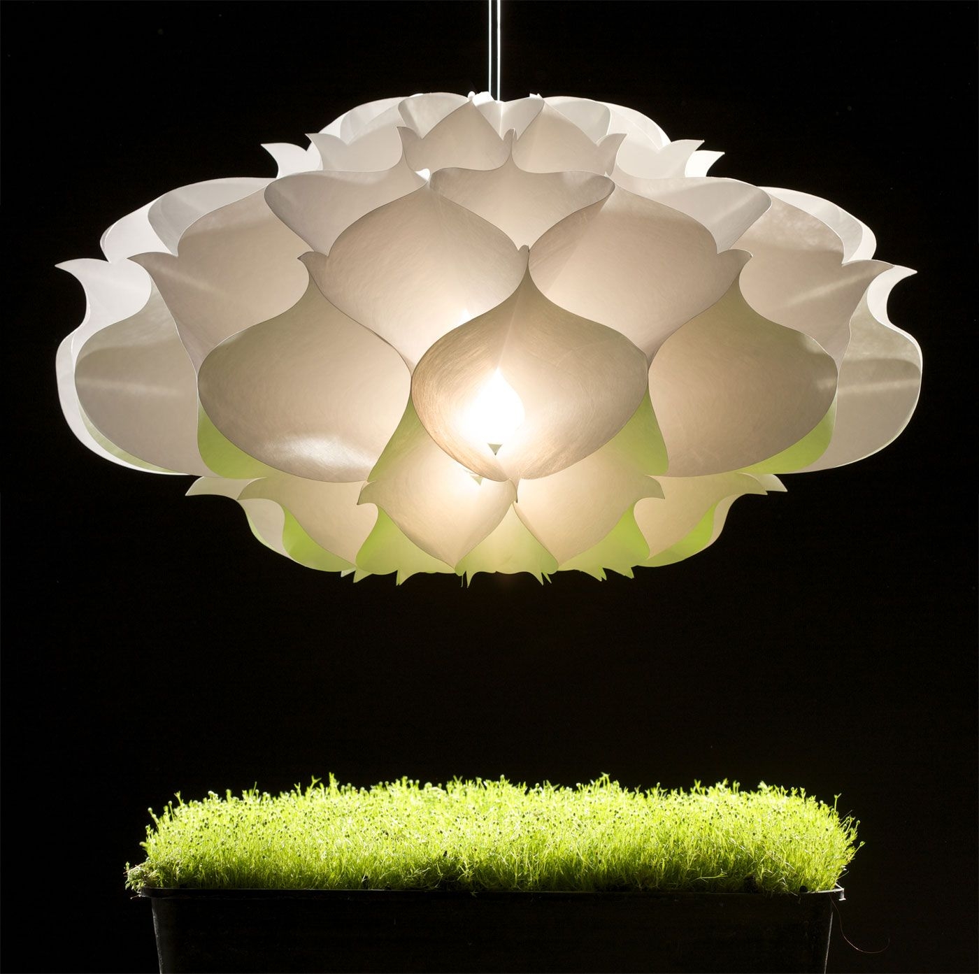 Lotus lamp shades 26