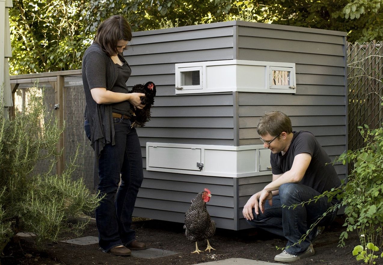 Chicken coops humane chicken coops green chicken coops diy chicken
