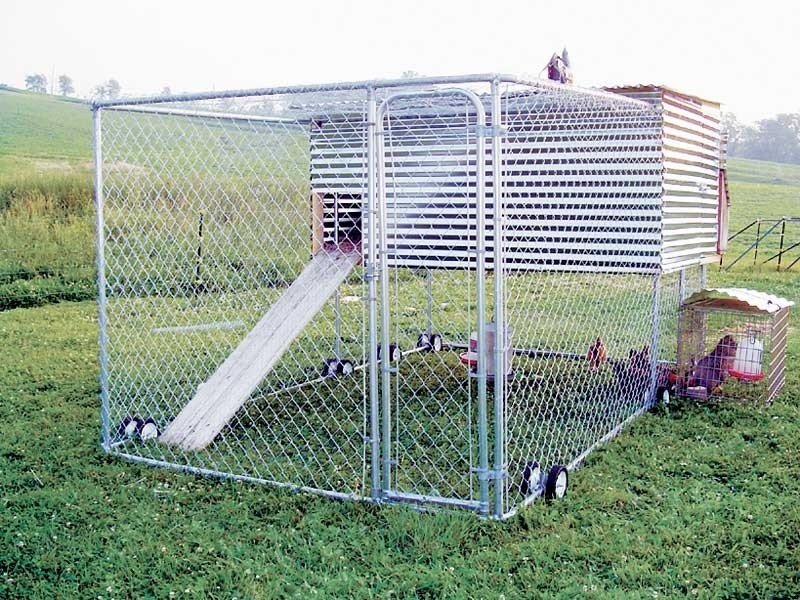 Movable chicken coop 1