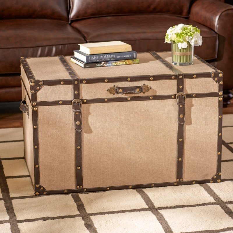 Abbott Storage Trunk