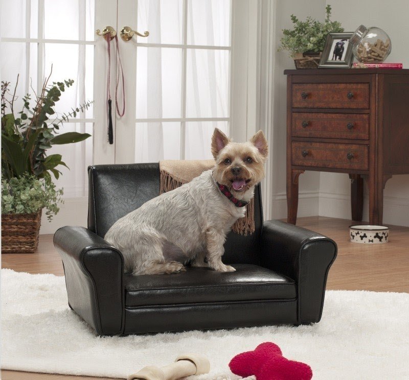 The Club Dog Chair