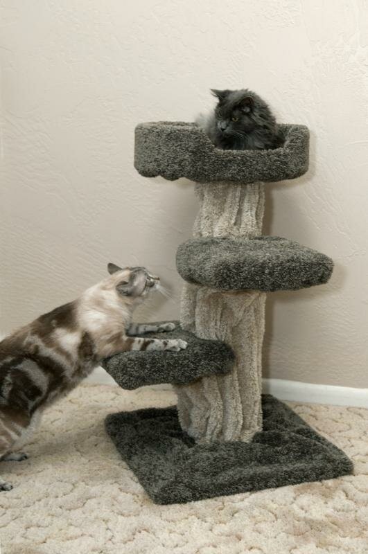 33" Premier Cat Tree