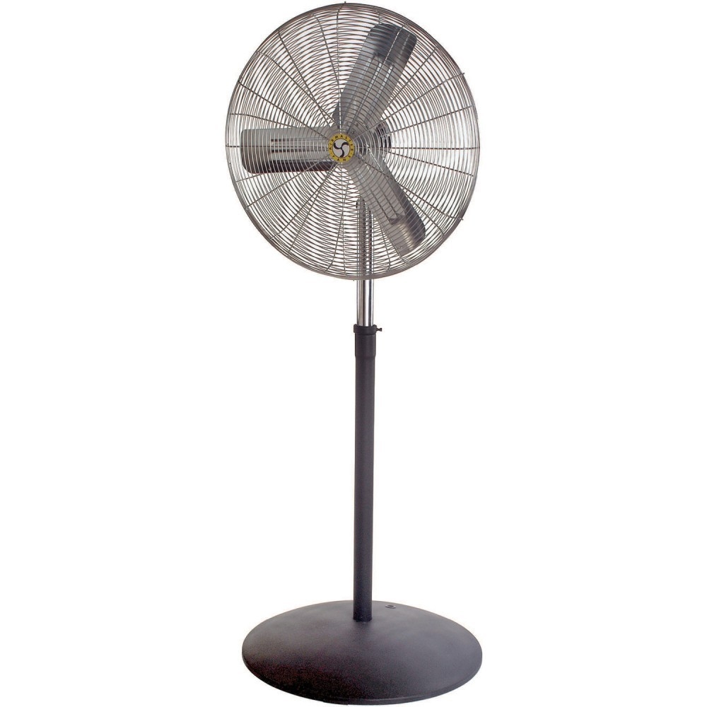 Pedestal Fan