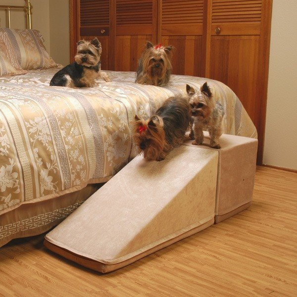 Pet Ramp with 14" Tall Landing