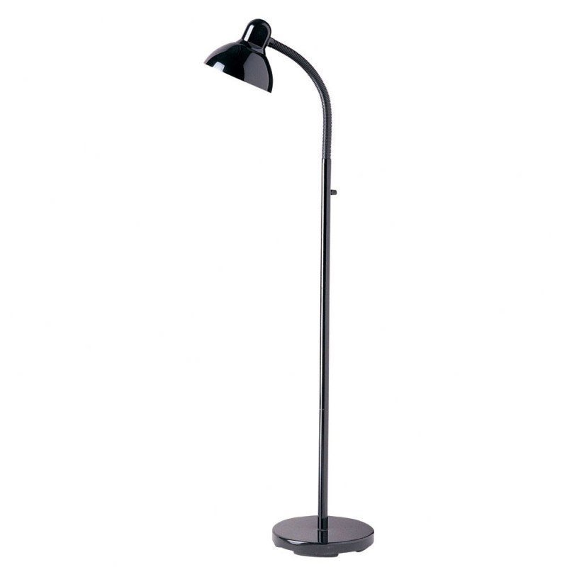 1 Light Gooseneck Floor Lamp