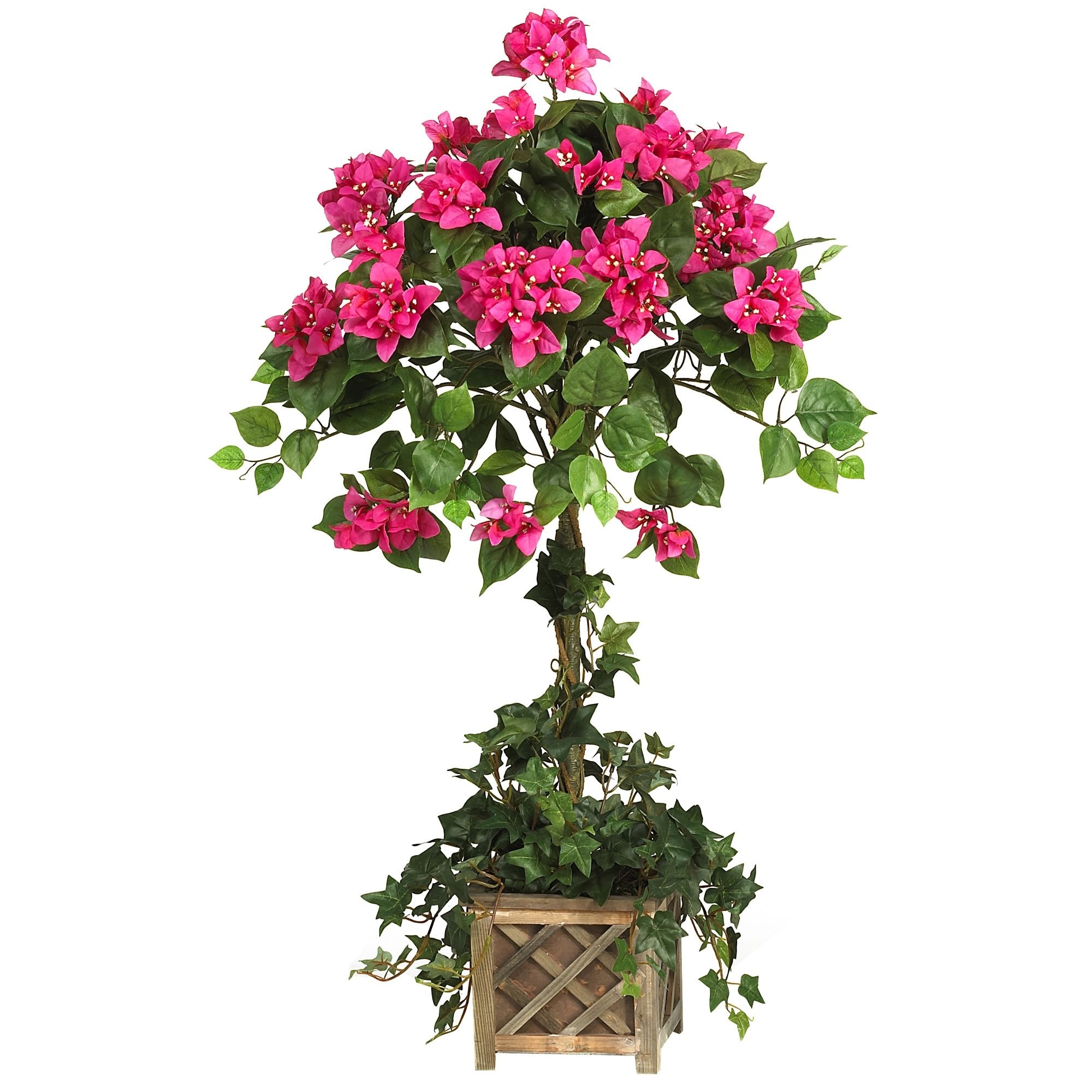 Bougainvillea Beauty Square Topiary in Basket