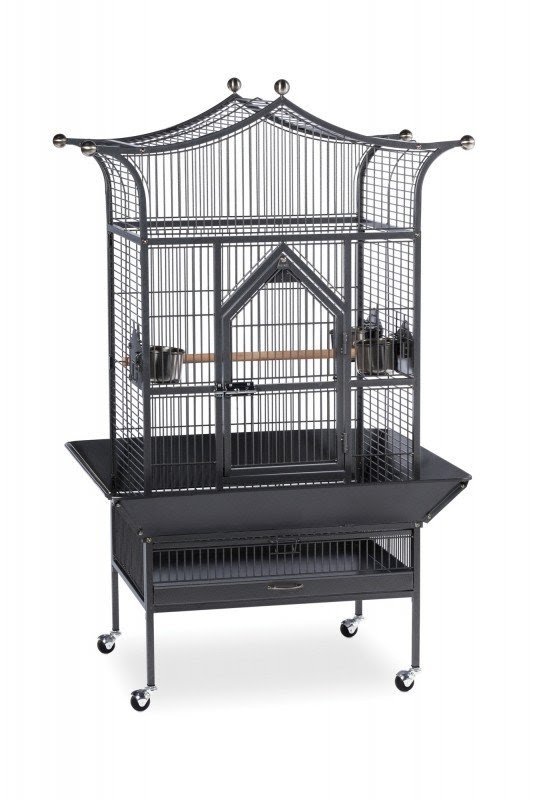 Signature Series Royalty Medium Bird Cage