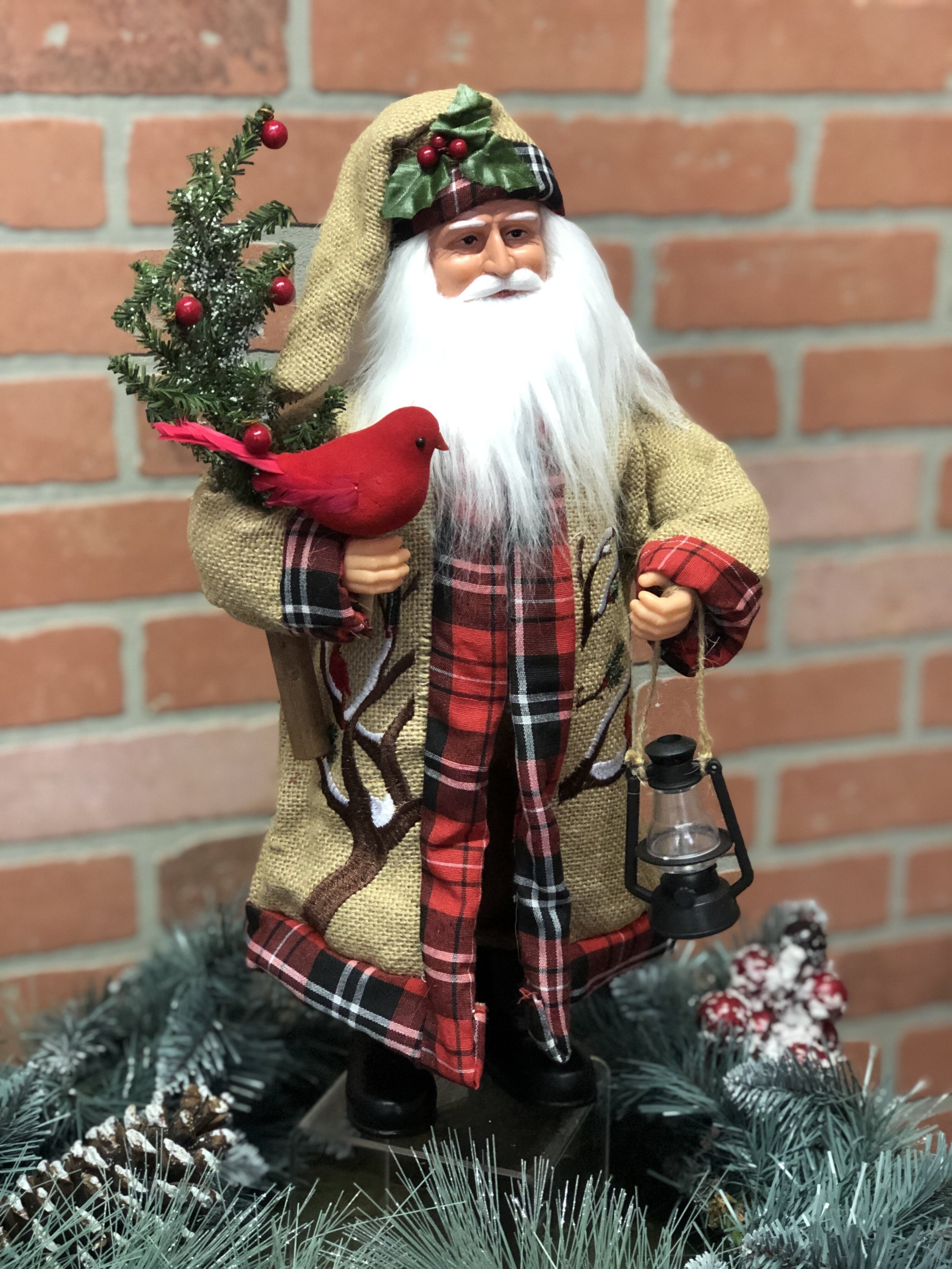 Cardinal in Tree Claus