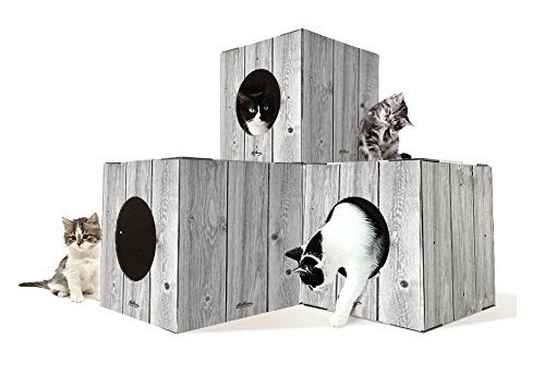 Customizable Outdoor Cat Tree Condo